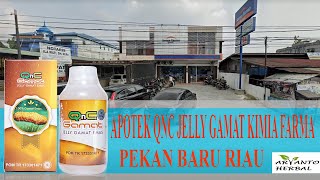 Alamat Penyedia Qnc Jelly Gamat kec. Pekanbaru & Bukitraya,Riau!!!