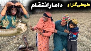 Tuti Gull Ao Da Maar Inteqam Pashto New Funny Video 2024 by Bebe Vines Plus