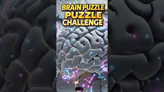 Brain Puzzle Challenge / IQ Test