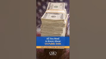 All You Need to Know About US Public Debt: Explainer From an Expert #shorts