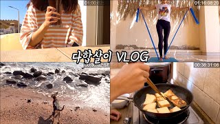 VLOG l 이집트 다합 프리다이빙 강사의 브이로그(다합의 아침)