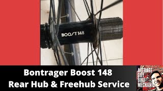 bontrager boost 148 rear hub and freehub service.