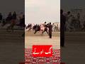 Horse and cattle show | #usmantahirjappa #mela #dcmuzaffargarh #horse #horseriding #tentpegging
