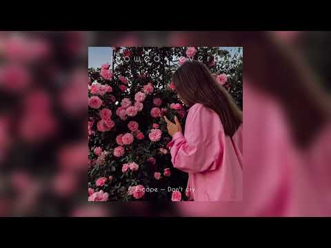 Escape Don T Cry Slowed Reverb