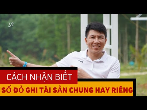 Cách nhận biết thông tin trên sổ đỏ có ghi tài sản chung hay riêng của vợ chồng để tránh rủi ro 2023 Mới