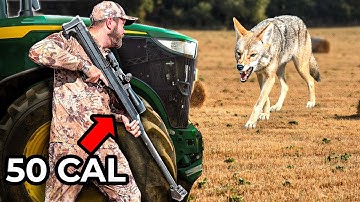 Hunting Coyotes With a 50 Cal Sniper Rifle!