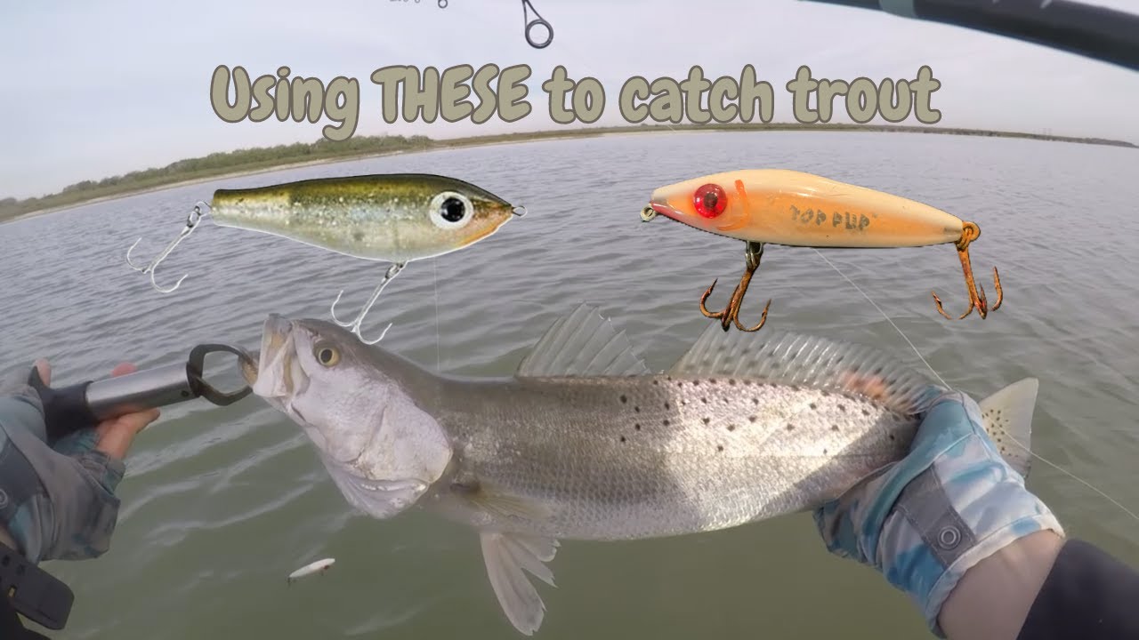 Fishing with a Corky Fat Boy & Top Pup to catch Speckled Trout in