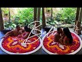 Bali Vlog • Part One | Taylor Takeover | UBUD MARKET, FLOWER BATH, GATES OF HEAVEN, WATERFALLS….