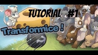 Tutorial #1: Como construir un totem | Transformice | FlopyWiz