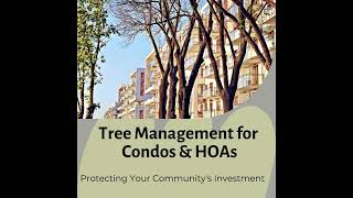 Tree Management Secrets Every Condo & HOA Board Must Know | Save Your Community Money