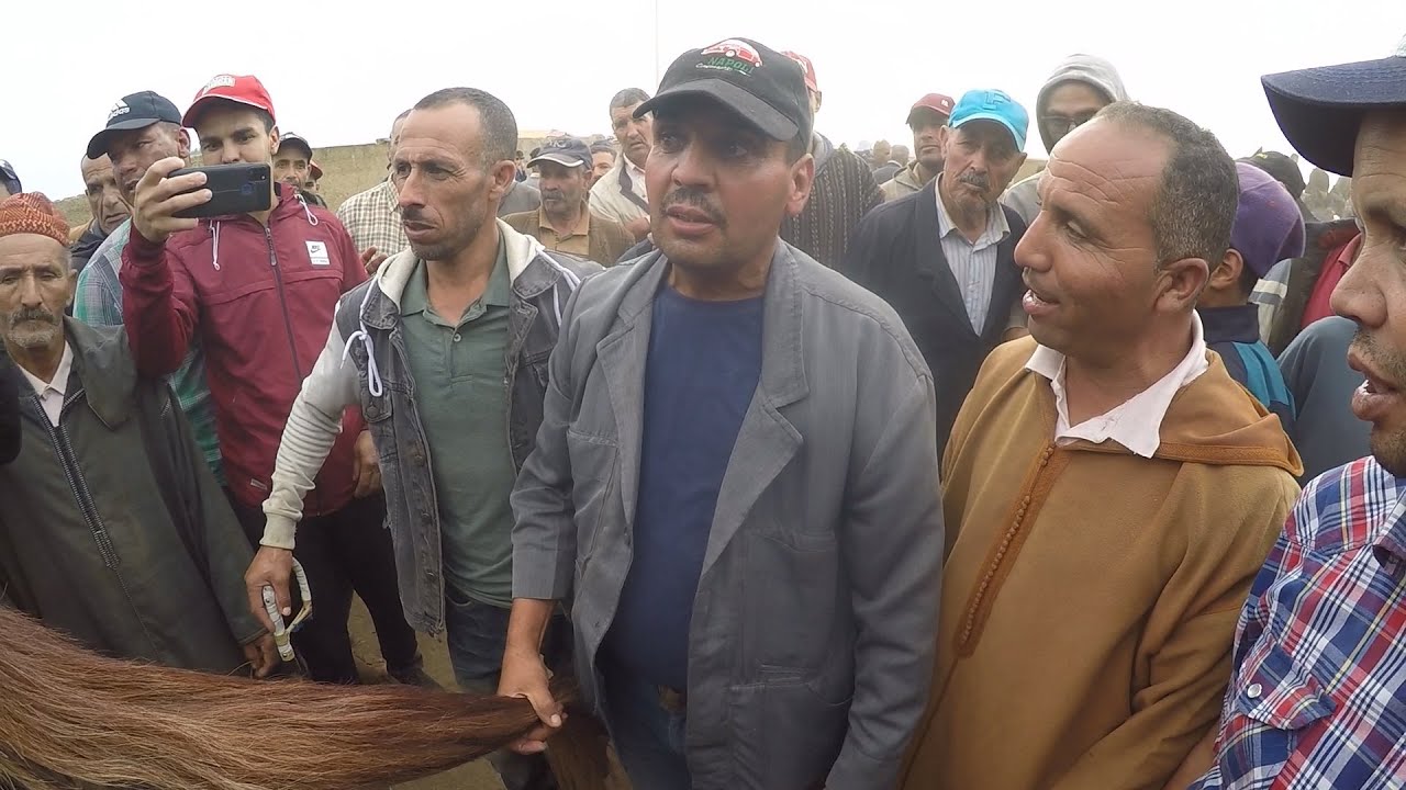 حميد طيكطوك محيح مع بوعزى الخريبكة على ود جدع سنان الحليب فسوق الخميسات