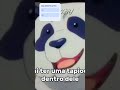 video aleatorio