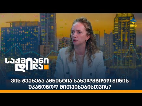 ვის შეეხება ამნისტია სახელმწიფო მიწის უკანონოდ მითვისებისთვის?