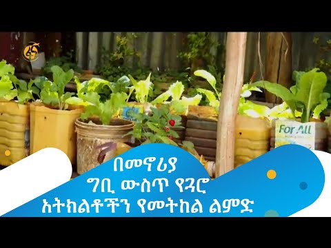 ቪዲዮ: የበረንዳ ኮምፖስት ቢን ሃሳቦች፡ በረንዳዎች ላይ ስለ ማዳበሪያ ይወቁ