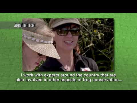 Frog Lady | S10 Episode 5