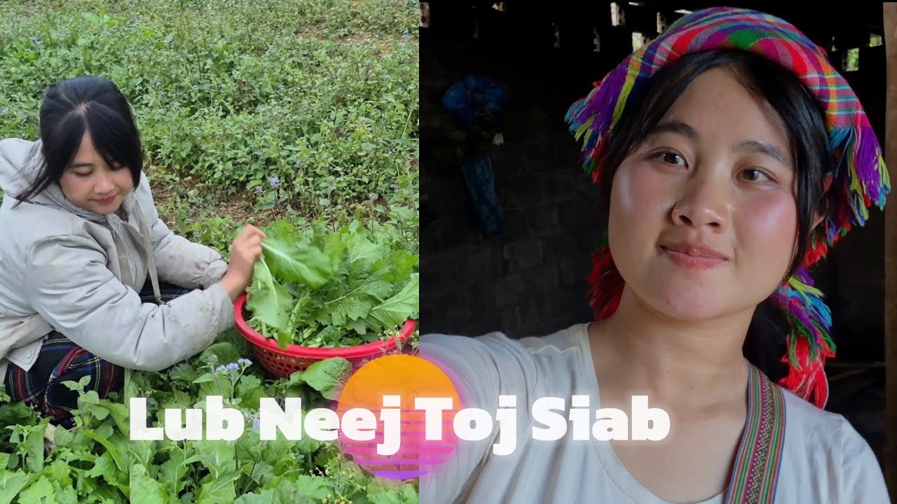 Paj Nag Wb Mus Tub Sab Dab Laug Li Zaub Los ua Hmo Noj | Lis Ceeb | 26-12-2025