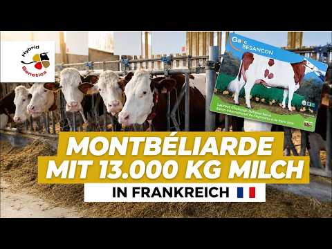 Roboterbetrieb mit 13.000kg in Frankreich