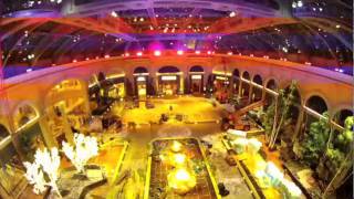 Bellagio Conservatory Fall to Holiday Time-Lapse