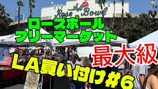 🇺🇸LA Buying Trip #6] Digging for Vintage at the Rose Bowl Flea