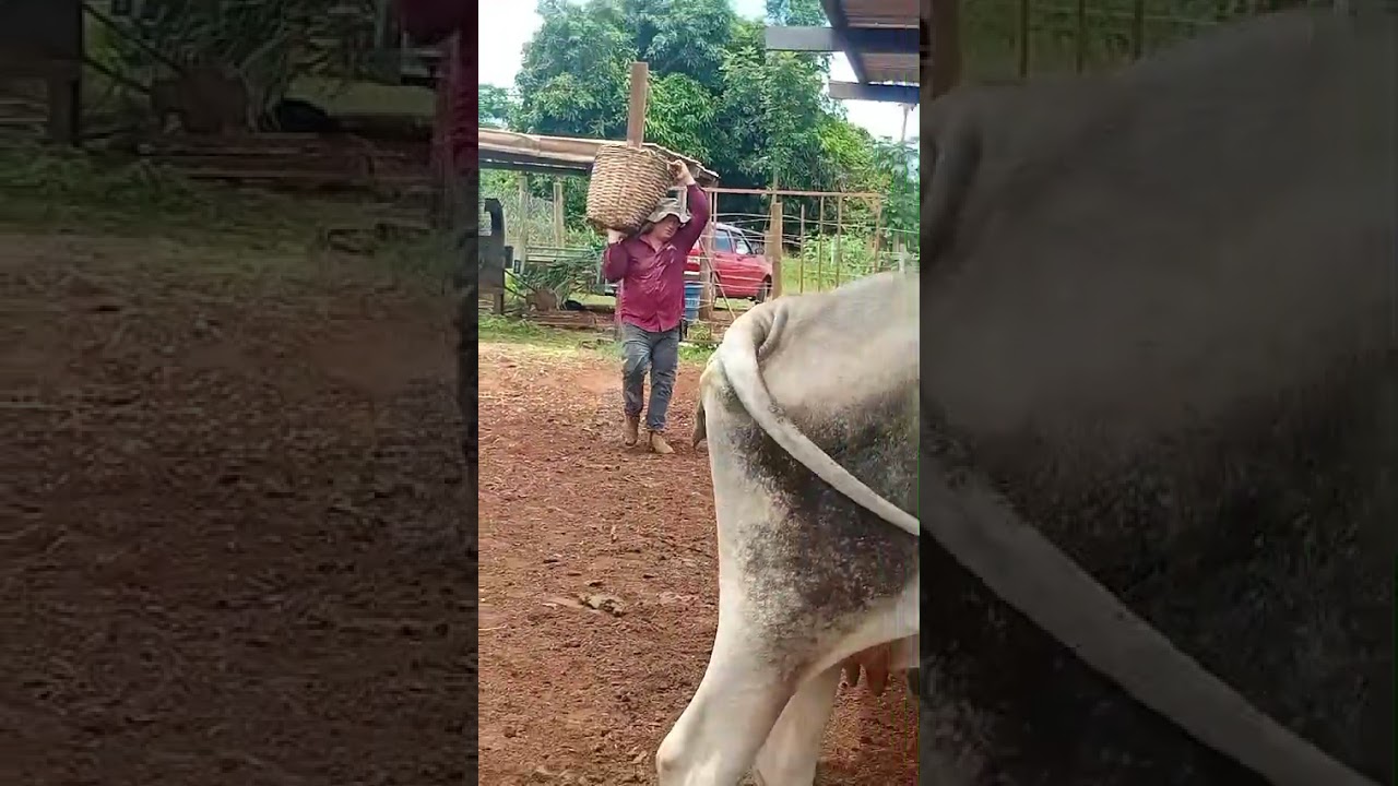 3 de janeiro de 2026