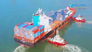 TTL Perkuat Ekspor Impor Asia-Indian Subcontinent