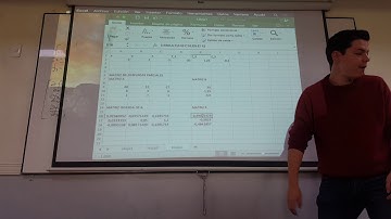 ITERACIÓN DE NEWTON-RAPHSON SISTEMAS DE ECUACIONES NO LINEALES parte 2
