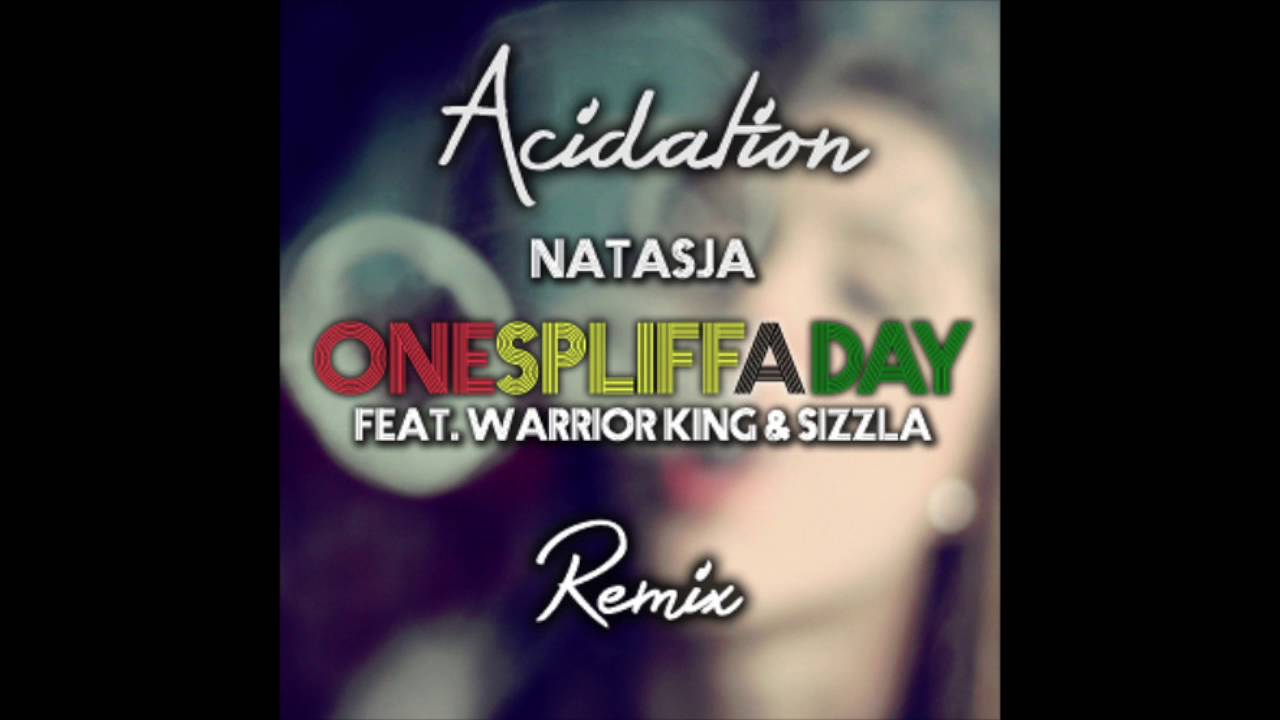 One Spliff A Day Remix
