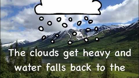 Animate The Water Cycle for Science class using Animation & Drawing by DoInk