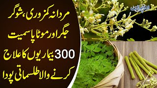 Benefits Of Moringa ‘Miracle’ Plant & Sweet Stevia | Moringa Benefits | Moringa Tree in Pakistan screenshot 2
