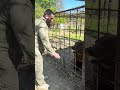 Подпишись✍️