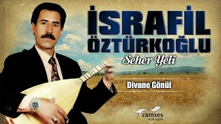 İsrafil Öztürkoğlu - Divane Gönül Resimi