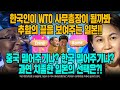 한국인이 WTO 사무총장이 될까봐 추함의 끝을 보여주는 일본!! 중국 밀어주기냐? 한국 밀어주기냐? 과연 치졸한 일본의 선택은?! [ENG SUB]