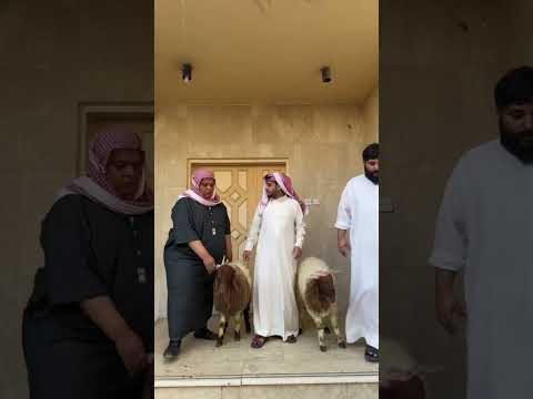 هلا بالعيال اول مقطع في اليوتيوب اشتراك اركد فديتك شباب البومب عامر فيصل العيسى روتانا خليجية 