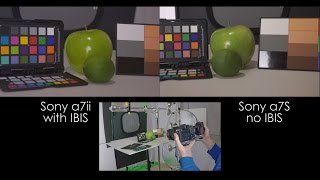 Sony IBIS vs No IBIS Test Using the Sony a7ii and a7S