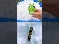 Bug Insect Names | Kids Learn in the Snow: Caterpillar Ant Spider Fly Dead Leaf Mantis