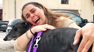 VIRAL ! Woman cries of joy after being reunited with her dog !