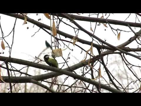 Videó: Hogyan Gondolj Csak Magadra