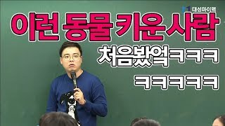 [대성마이맥]사회탐구 임정환 - 수업에 등장한 우리 꿍이??