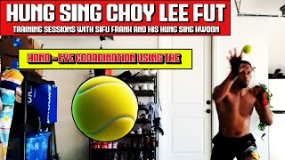 Choy Lee Fut Kung and the Tennis Ball