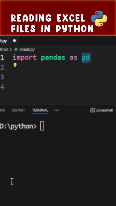 Reading Excel Files in Python & Display on Screen | Read any Excel File ...