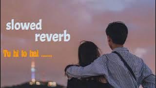 Tu Hi Toh Hai | Slowed & reverb | Akshay Kumar & Sonakshi Sinha | Holiday | Pritam | Benny Dayal