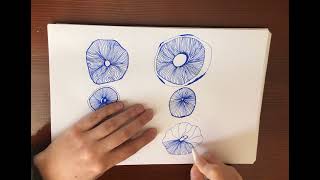 My Creative Process: Drawing Mushroom Caps chapter 3