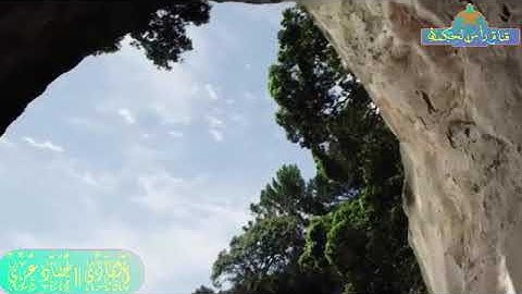 تلاوة رائعة من سورة القصص بصوت القارئ || حماد بن عزي     وفقه الله