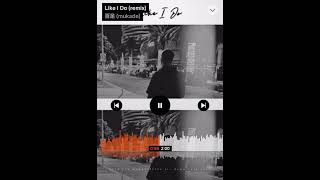 Like I Do remix