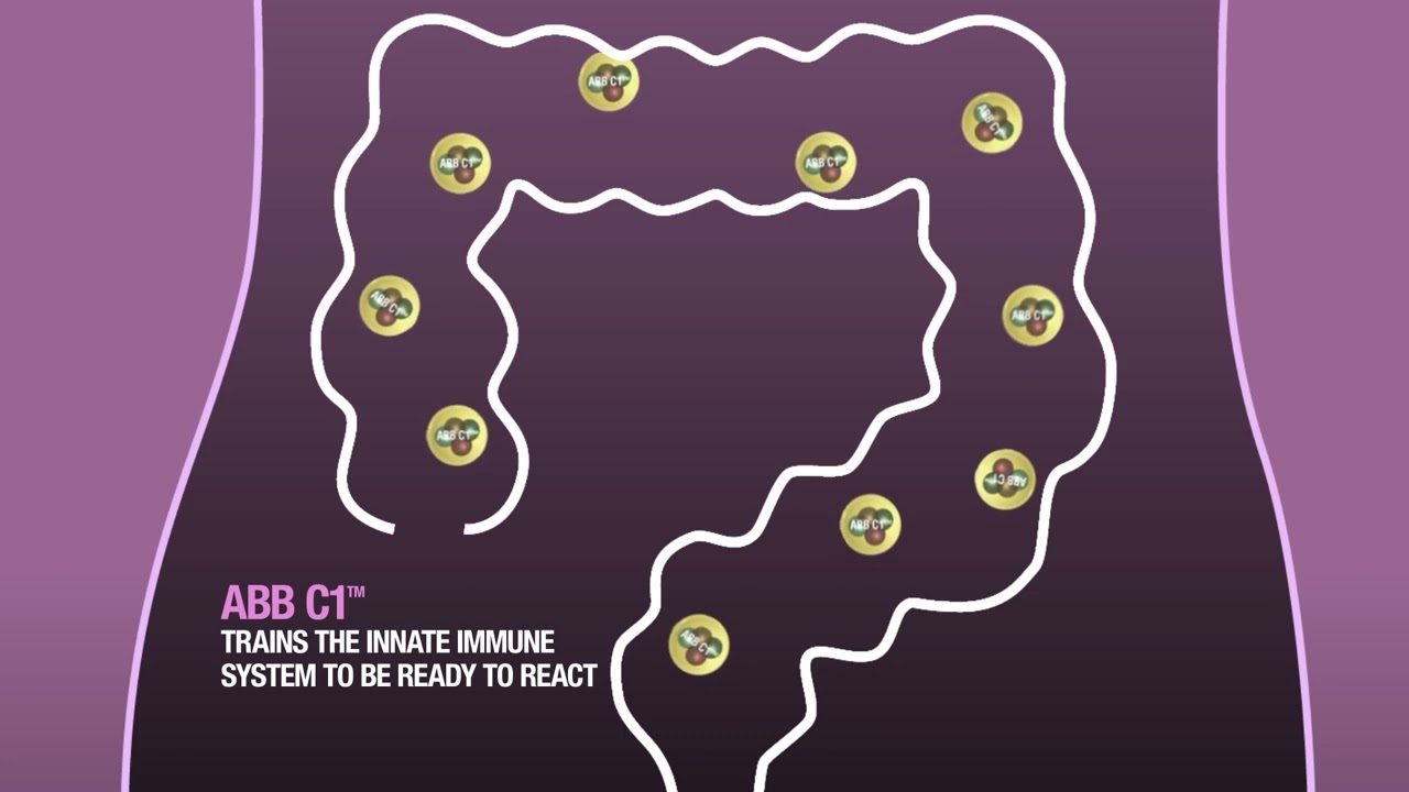 ABBC1 - AB BIOTEK - Long version