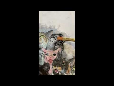 3 more cats added! Turtle, Potato and Goose! - THE CHORUS