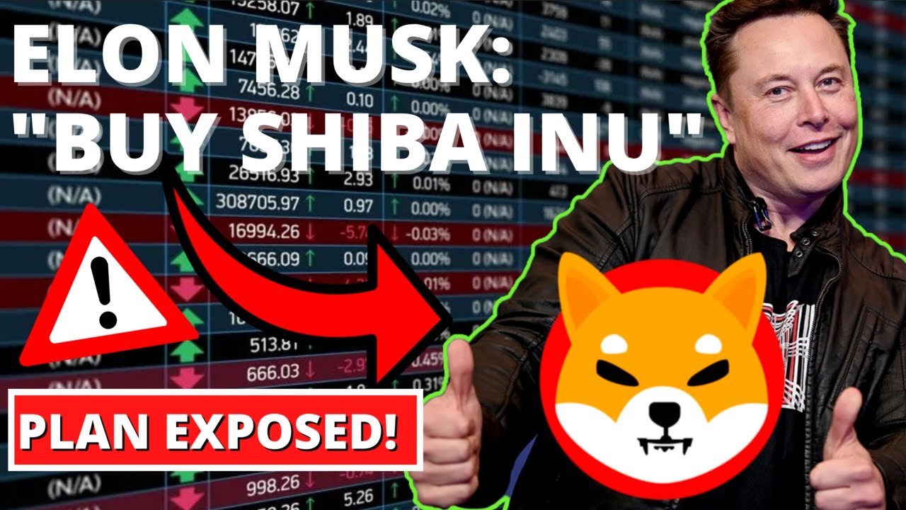 Elon Musk Says To Buy Shiba Inu! | SHIB