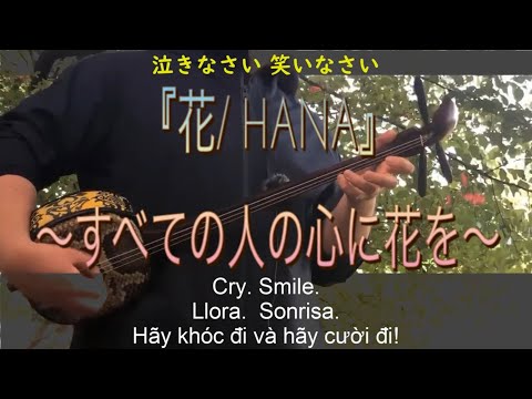 『花/ HANA』すべての人の心に花を.... Shokichi Kina COVER【三線Sanshin×英語 English 】夏川りみ  Rimi Natsukawa