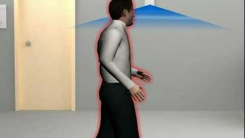 Eurovigil : Intrusion alarm systems (wired and wireless)