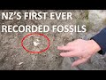 New zealands first ever described fossil locality